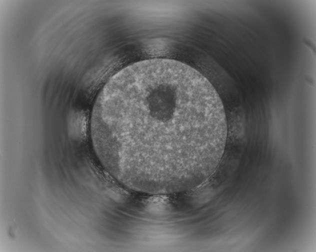 X0000103960124200810311623