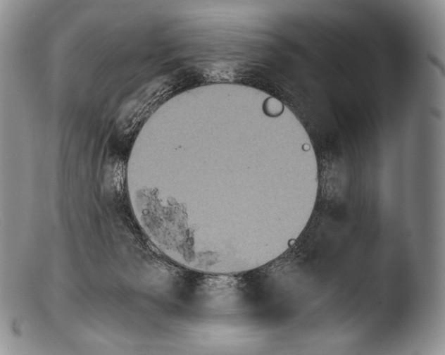 X0000103960125200810311623