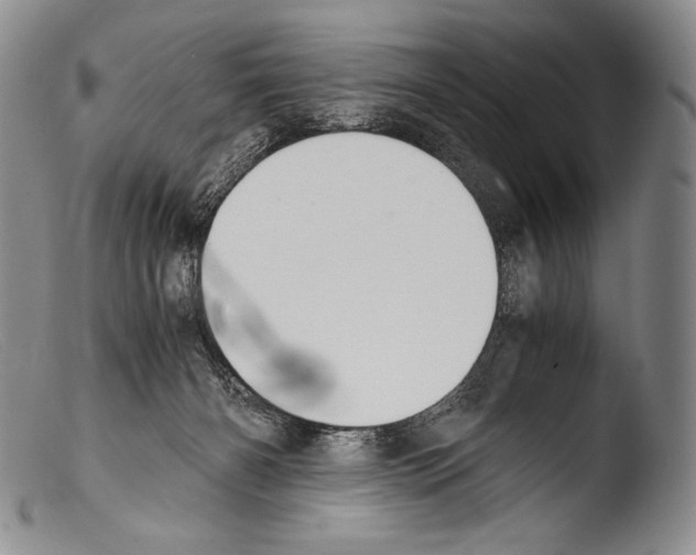 X0000103960126200810311623