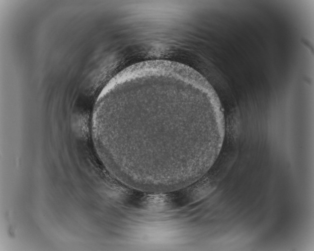 X0000103960127200810311623