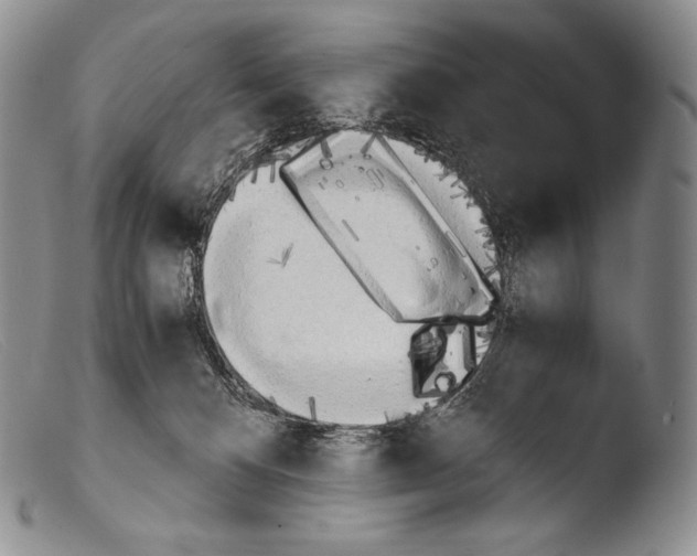 X0000103960128200810311623