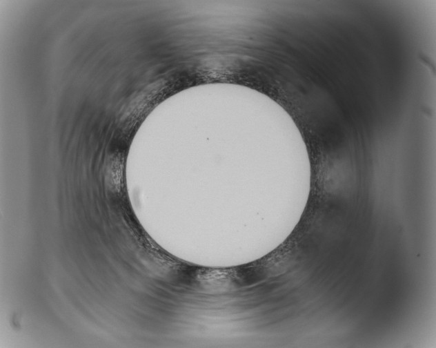 X0000103960129200810311623