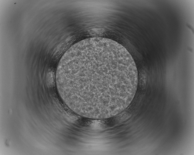 X0000103960130200810311623