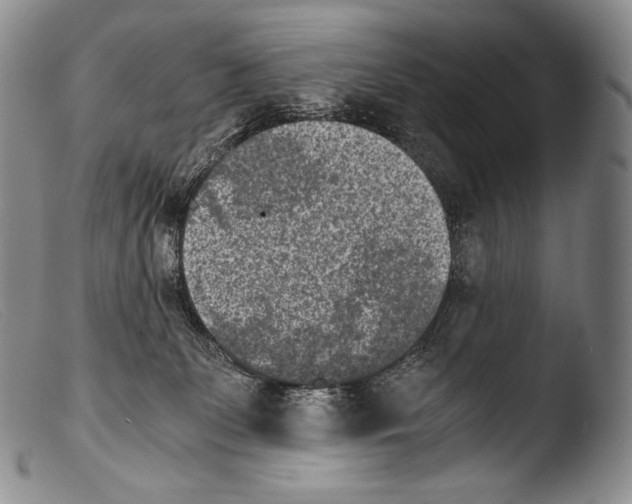 X0000103960131200810311623