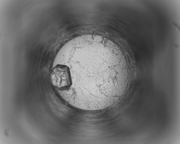 X0000103960132200810311623