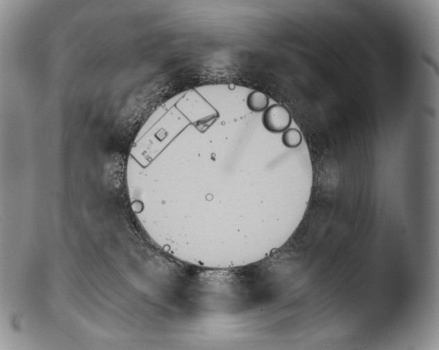 X0000103960133200810311623