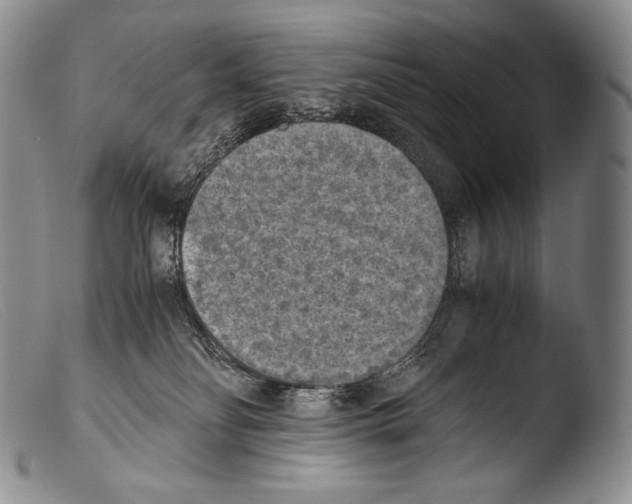 X0000103960134200810311623