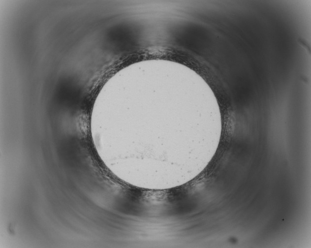 X0000103960135200810311623