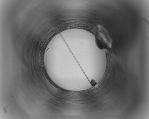 X0000103960136200810311623