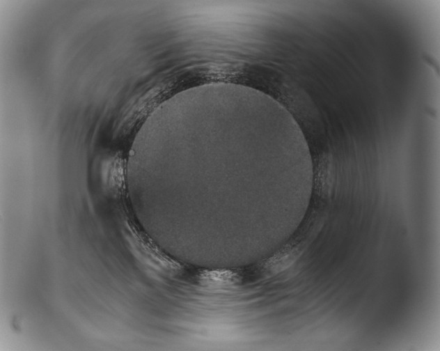X0000103960137200810311623