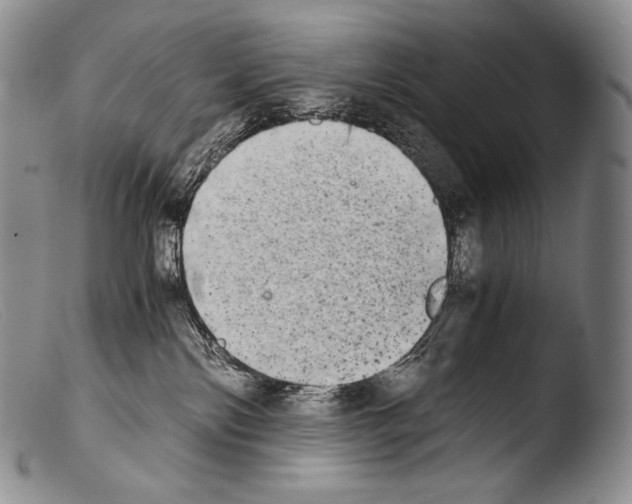 X0000103960138200810311623