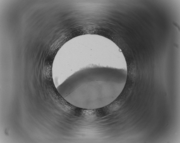 X0000103960139200810311623