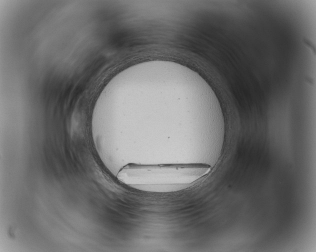 X0000103960140200810311623