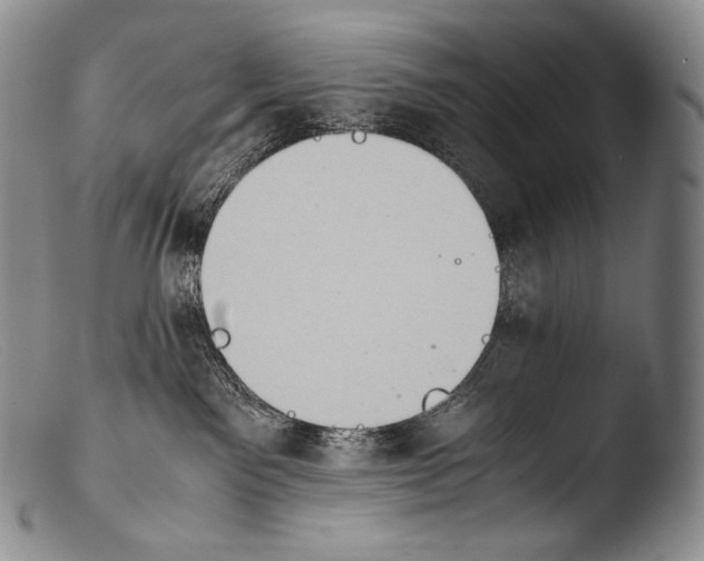 X0000103960141200810311623