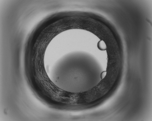 X0000103960143200810311623