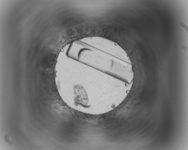 X0000103960144200810311623