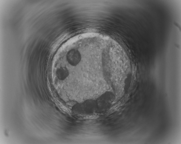 X0000103960145200810311622