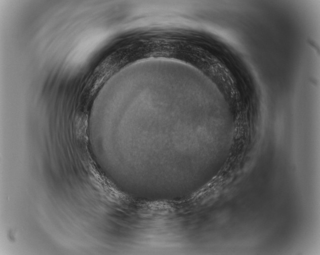 X0000103960146200810311622