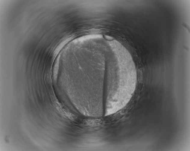 X0000103960147200810311622