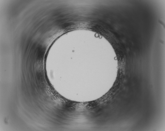 X0000103960148200810311622