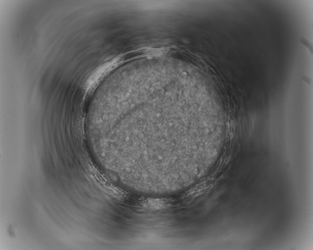 X0000103960149200810311622