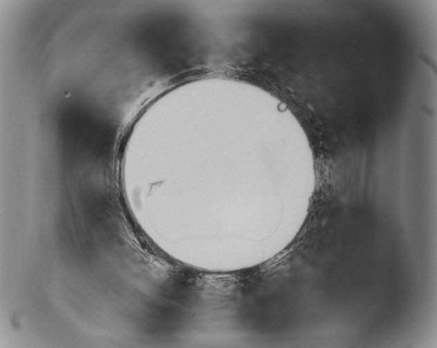 X0000103960150200810311622