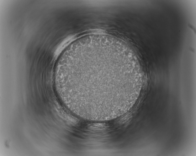 X0000103960151200810311622