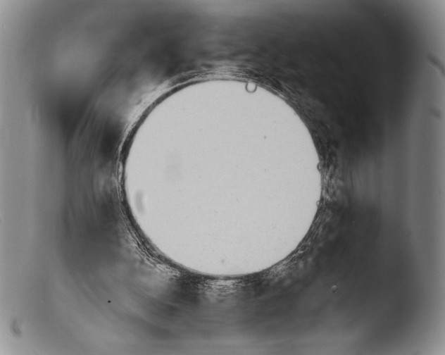 X0000103960152200810311622