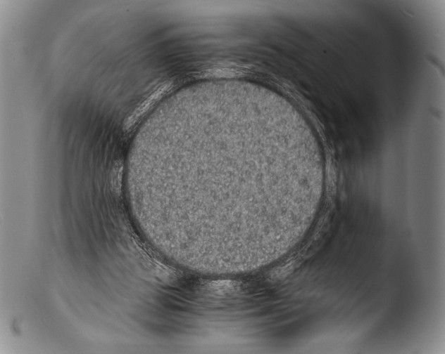 X0000103960153200810311622