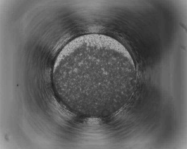 X0000103960154200810311622