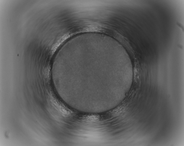 X0000103960156200810311622