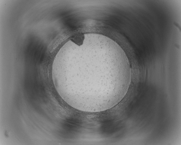 X0000103960158200810311622