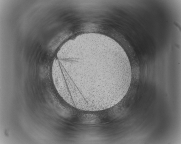 X0000103960159200810311622