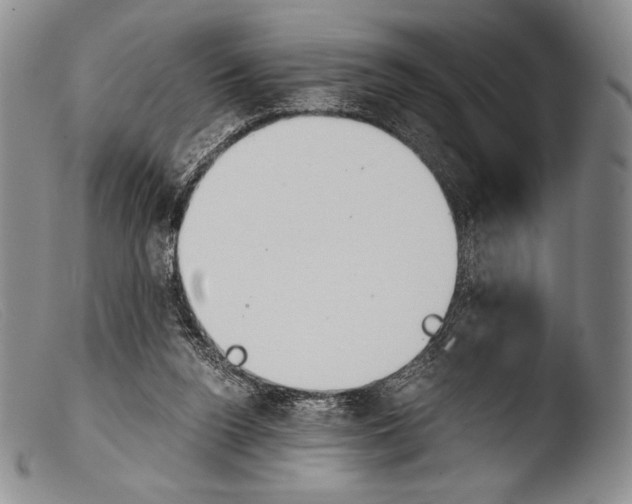 X0000103960160200810311622