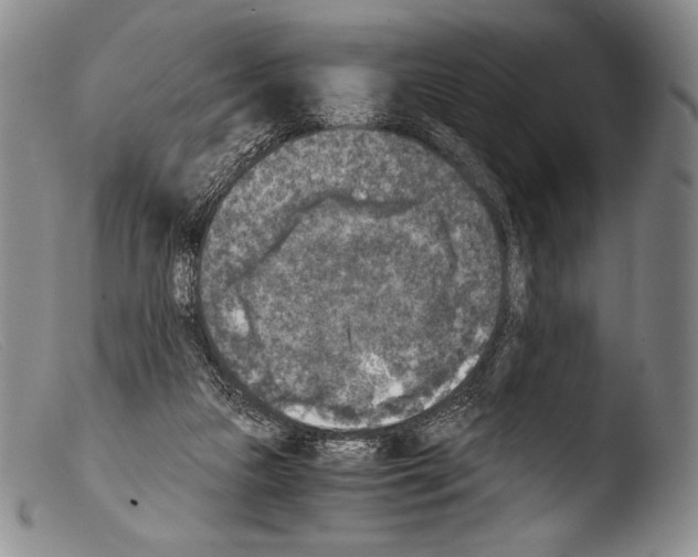 X0000103960161200810311622