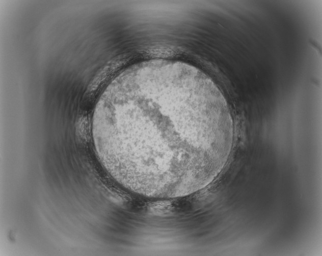 X0000103960162200810311622