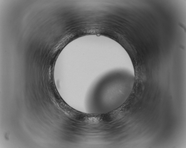 X0000103960163200810311622