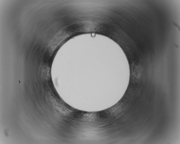 X0000103960164200810311622
