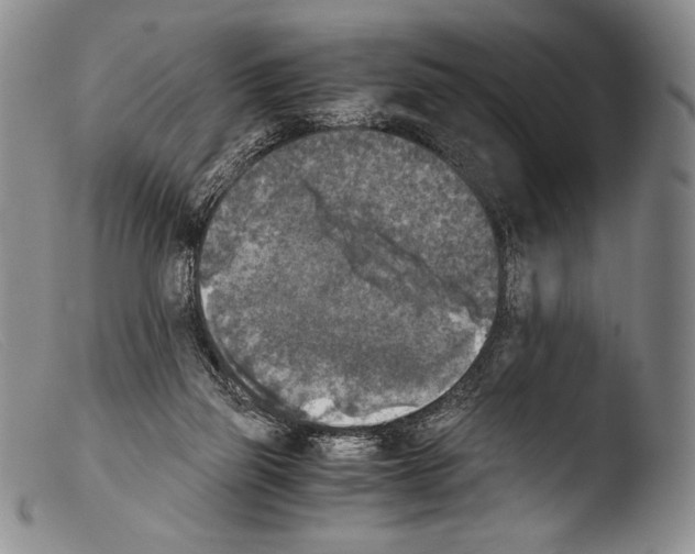 X0000103960165200810311622