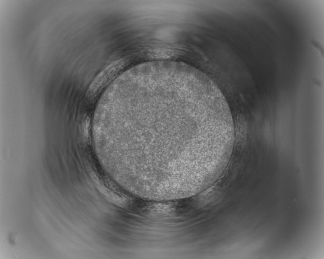X0000103960166200810311622