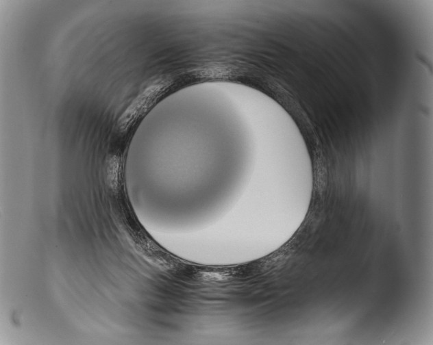 X0000103960167200810311622