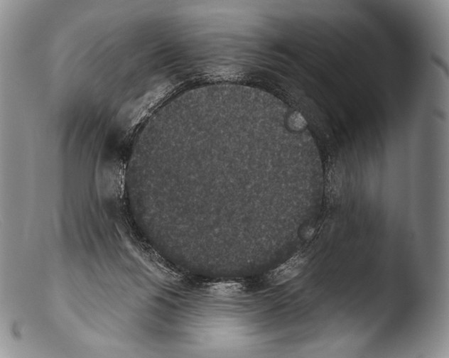 X0000103960168200810311622
