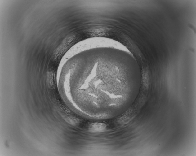 X0000103960169200810311622