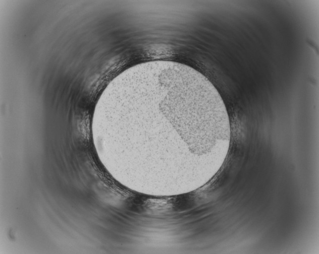 X0000103960170200810311622