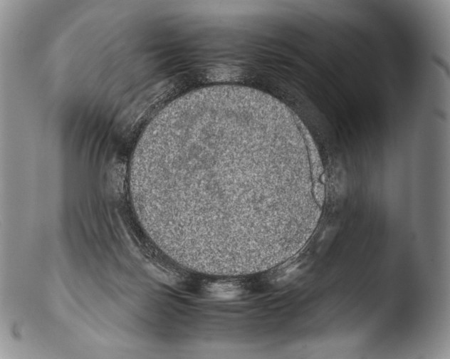 X0000103960171200810311622
