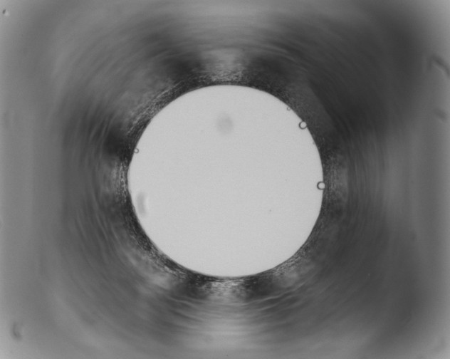 X0000103960172200810311622