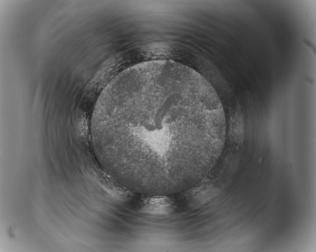 X0000103960173200810311622