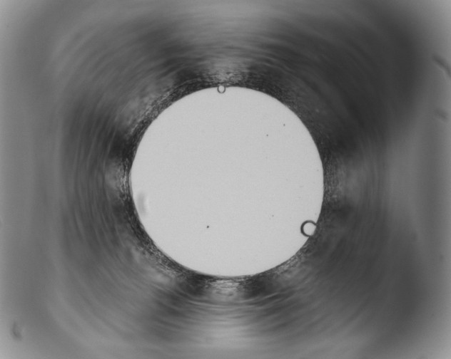 X0000103960176200810311622