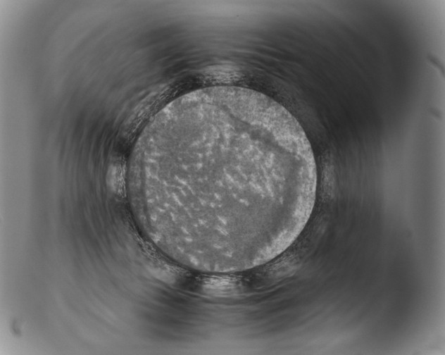 X0000103960177200810311623