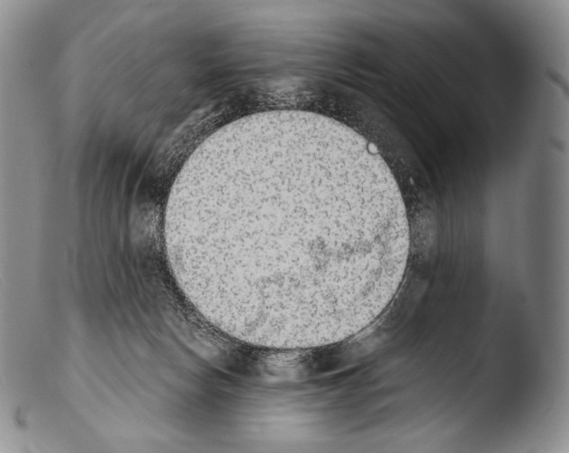 X0000103960178200810311623